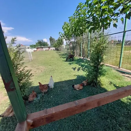 Campsite Windmill Gesthouse & Grill Shkoder