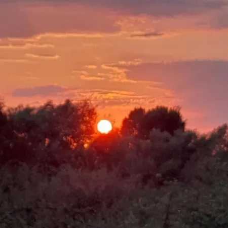 Camping Windmill Gesthouse & Grill Shkodër