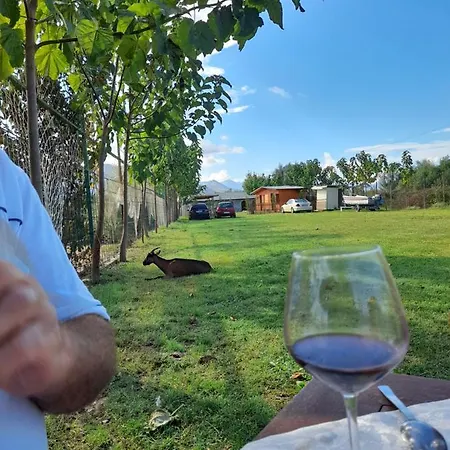 Windmill Gesthouse & Grill Campingplatz Shkodra