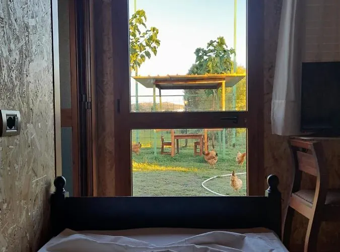 Windmill Gesthouse & Grill Camping Shkodër