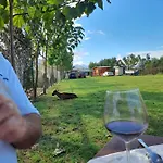 Windmill Gesthouse & Grill Kamp alanı Shkodër