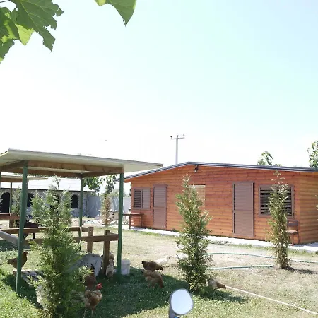 Windmill Gesthouse & Grill Kemp Shkodër