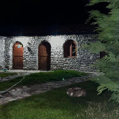 Windmill Gesthouse & Grill *