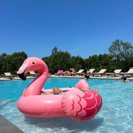 Windmill Gesthouse & Grill Kemp Shkodër