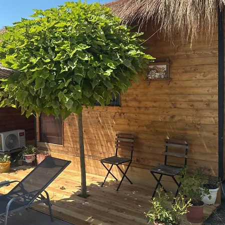 Windmill Gesthouse & Grill Shkodra