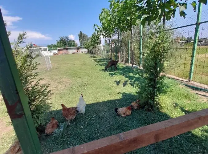 Кемпинг Windmill Gesthouse & Grill Шкодер